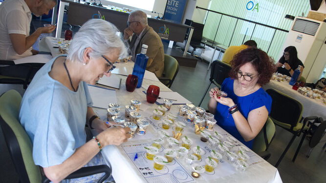 Dos participantes en el panel de cata de aceites de oliva.