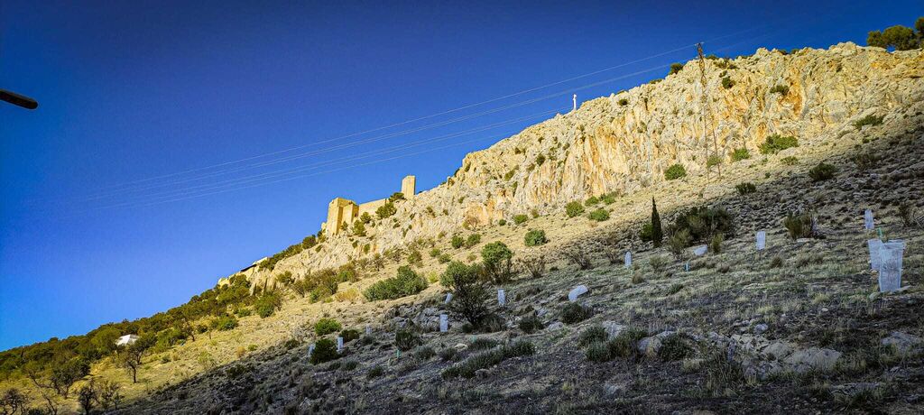 El Cerro de Santa Catalina aguarda la fortaleza jiennense por antonomasia.