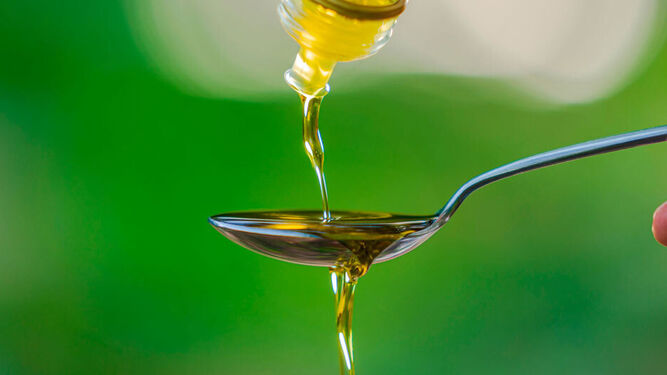 El aceite de oliva temprano es característico por su color verdoso.