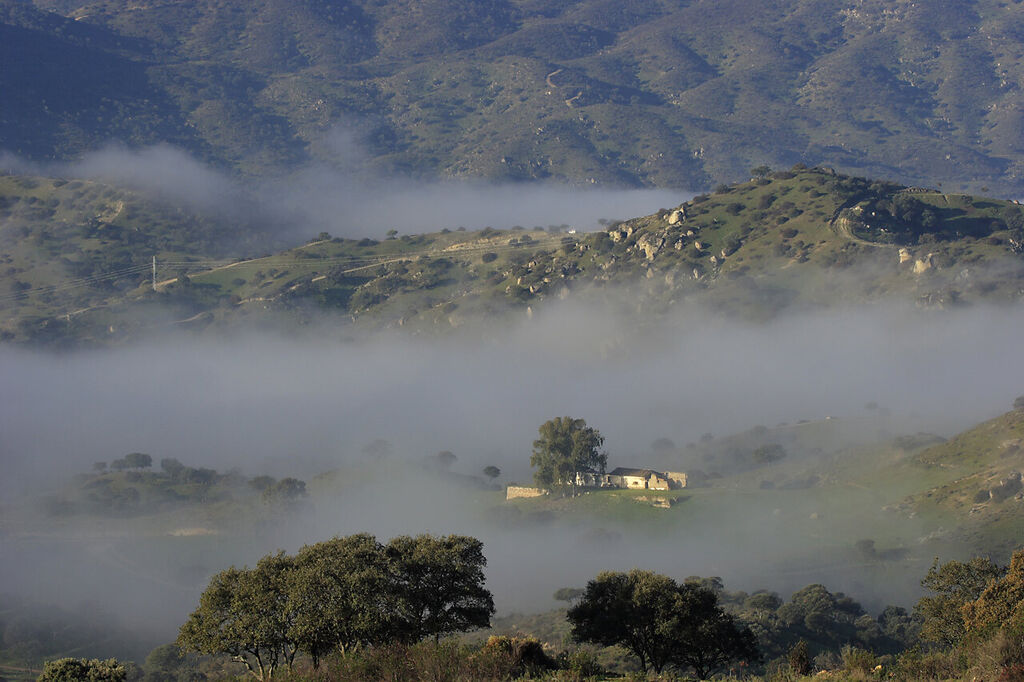 Panor&aacute;mica de la Sierra de And&uacute;jar en un d&iacute;a con niebla.