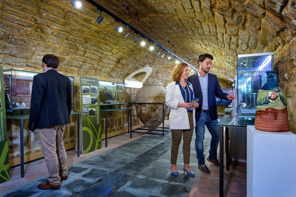 La provincia est&aacute; llena de museos y almazaras que exploran las ra&iacute;ces del aceite de oliva.