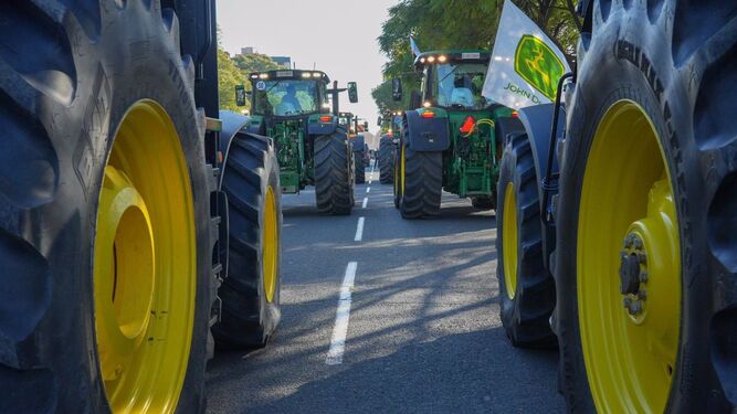 Los tractores cortarán la carretera que une Andalucía con Castilla-La Mancha.