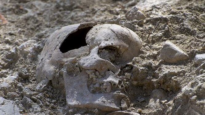 Hallan restos humanos de represaliados del franquismo en una fosa del cementerio de Jaén